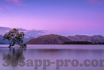 开云体育app登录-畅游虚拟球场，从开云体育APP登录开启